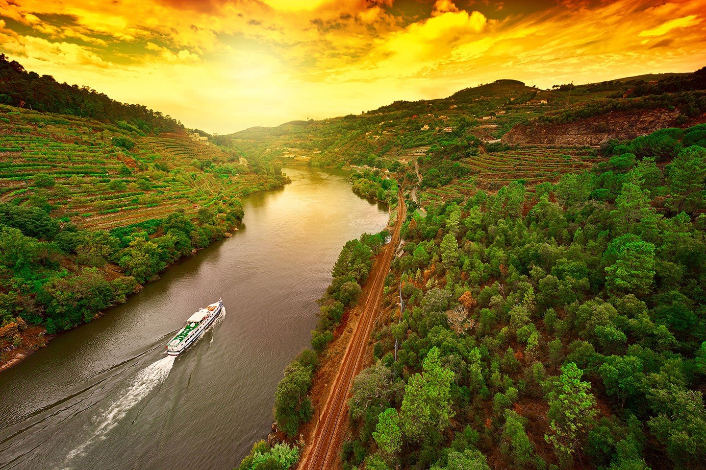 Douro Valley vineyards at sunset, Portugal